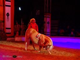 Circus YAKARI Show am 04.10.2024